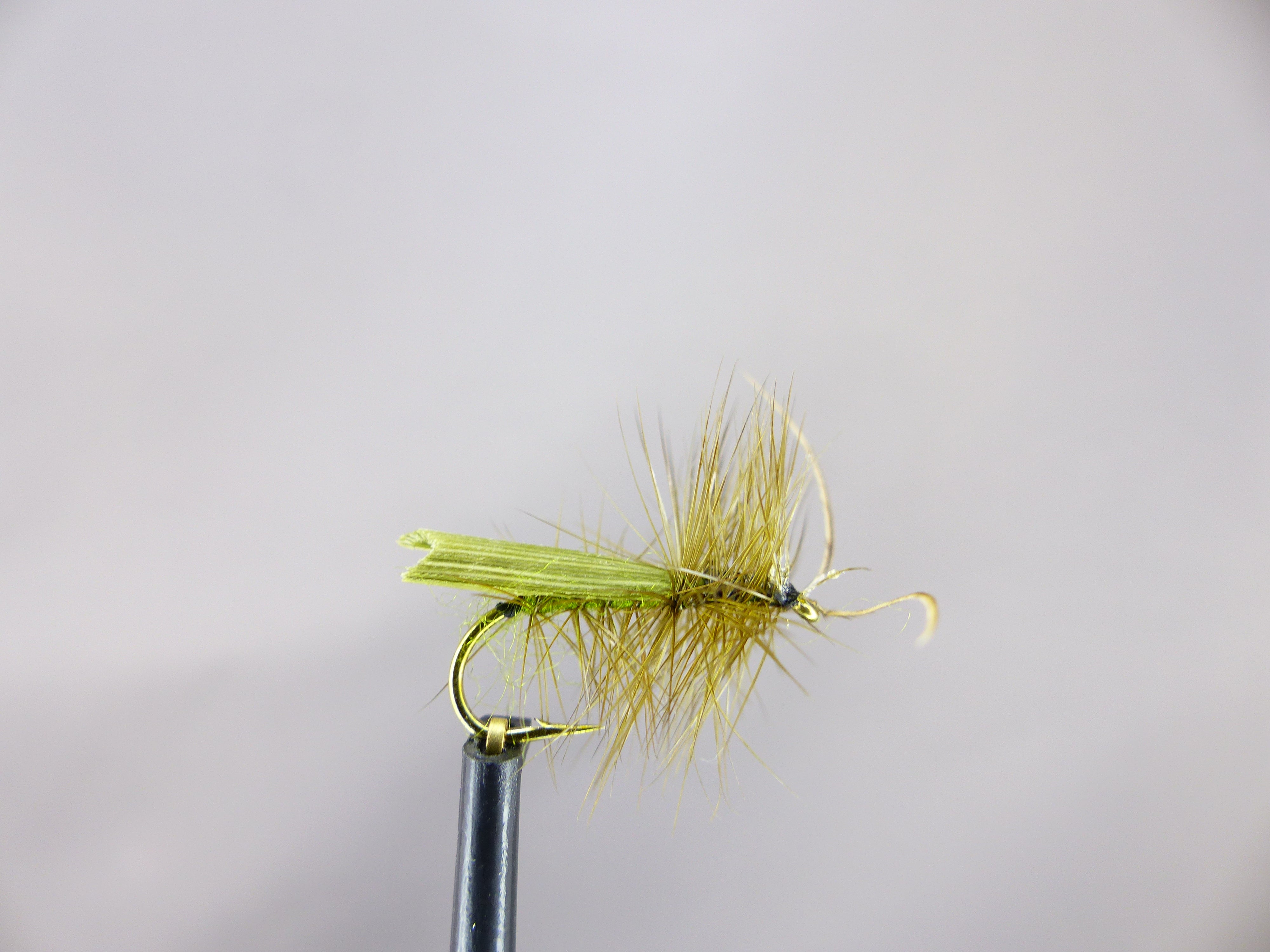 Caddis mouches Banque de photographies et d'images à haute résolution