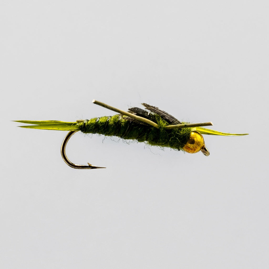 BH RL stone Olive – Mouche Expert