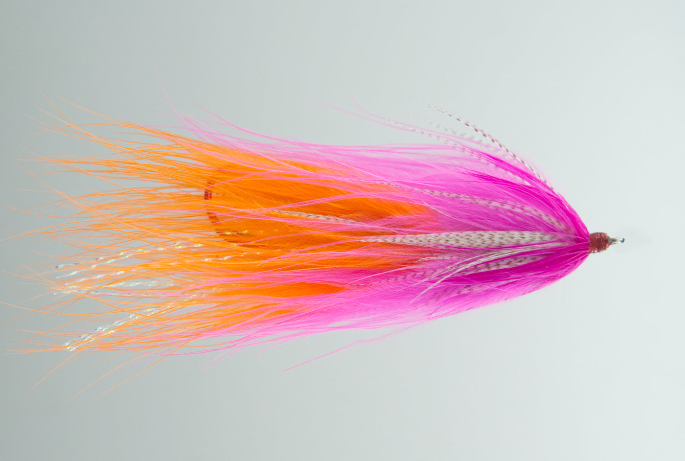 River Rat Squid Pink/Orange #2