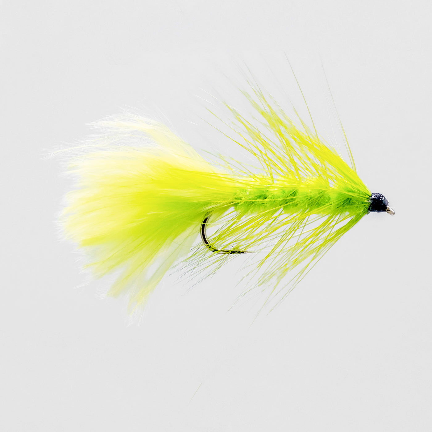Chartreuse Wooly Bugger