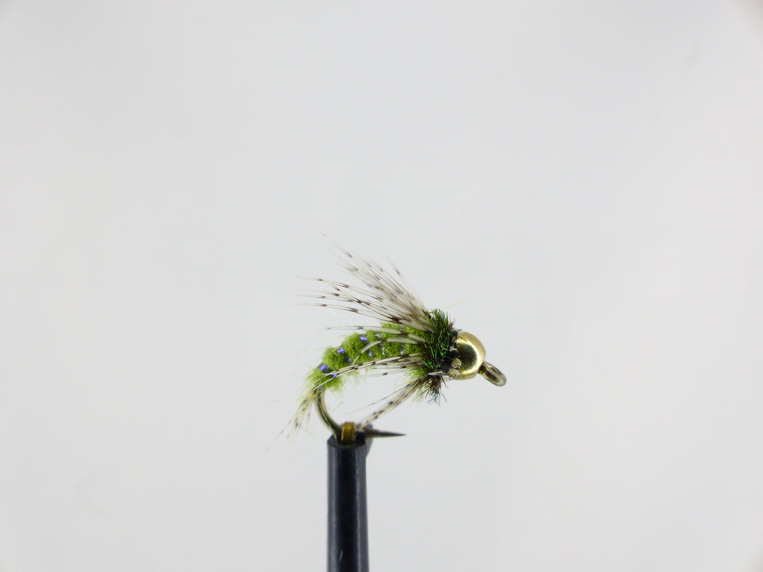 Cinq Mouches Indispensables Pour La Saison Truite - Peche Et Poissons | Carnassiers, Carpe, Truite, Mer, Coup… Toute L'actu De La Pêche