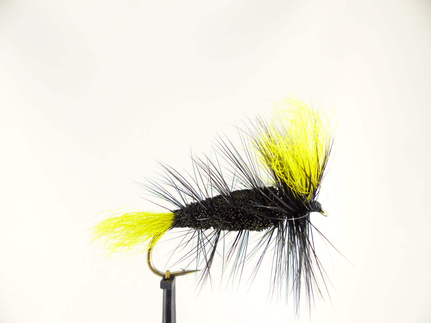 Salmon bomber Black Yellow Wings