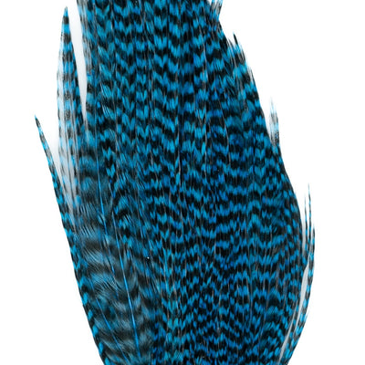 Genetic Rooster Mini-Pack