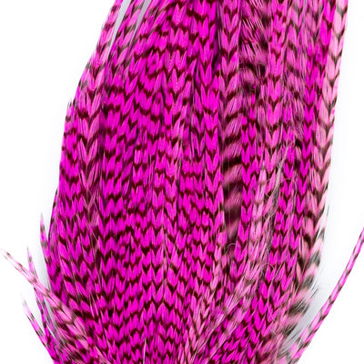 Genetic Rooster Mini-Pack