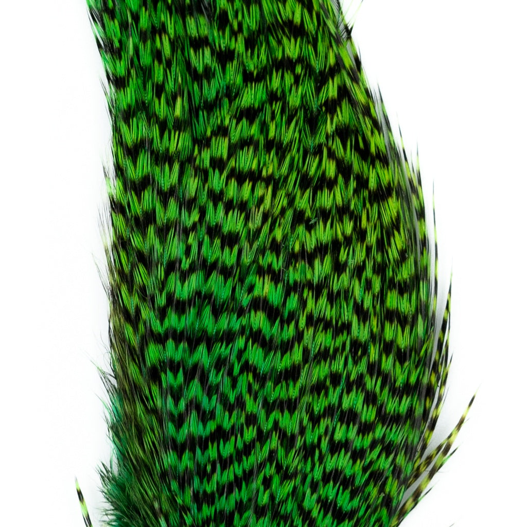 Genetic Rooster Mini-Pack