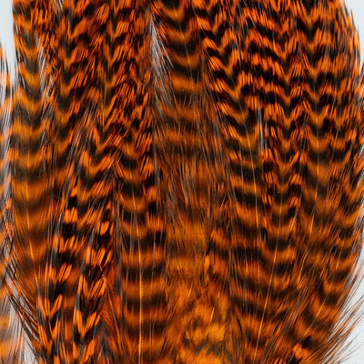 Genetic Rooster Mini-Pack