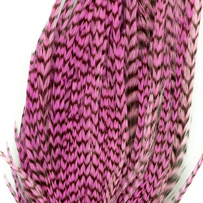Genetic Rooster Mini-Pack