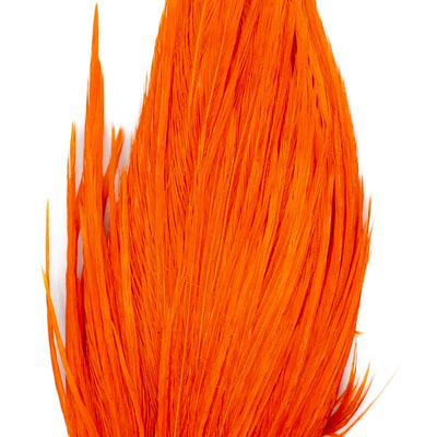 Genetic Rooster Mini-Pack