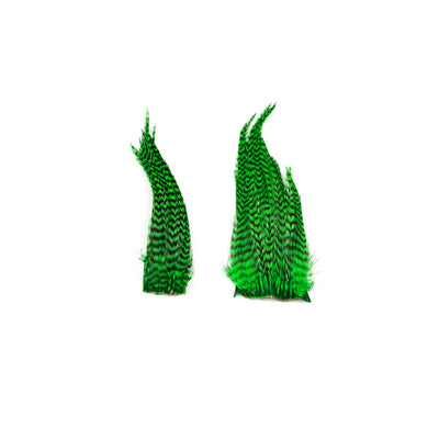 Genetic Rooster Mini-Pack