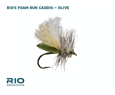 Assortiment de mouches caddis olive rio