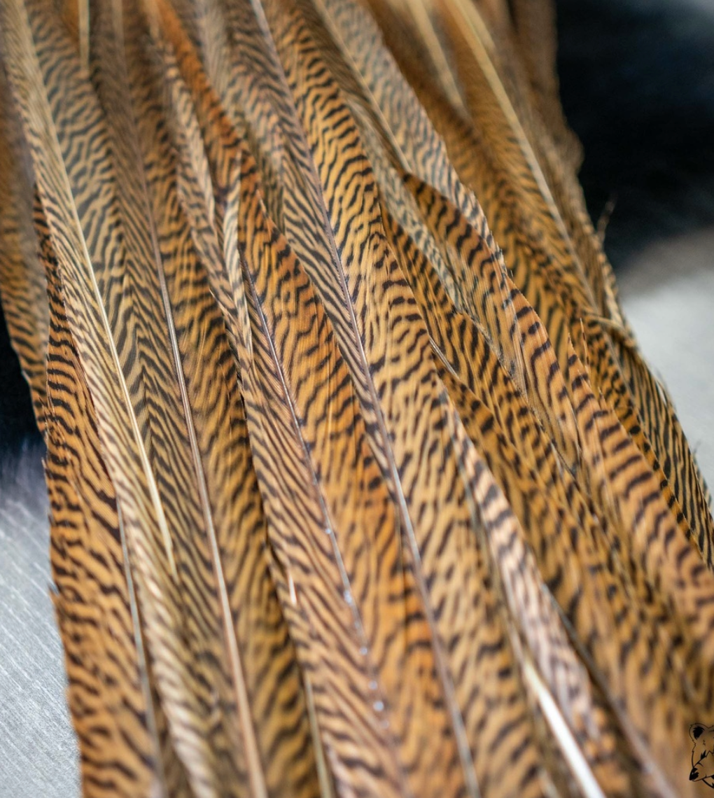 Queue de Faisant Doré Mouche Expert