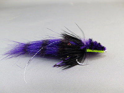 COLBY'S CORONA TOAD PURPLE