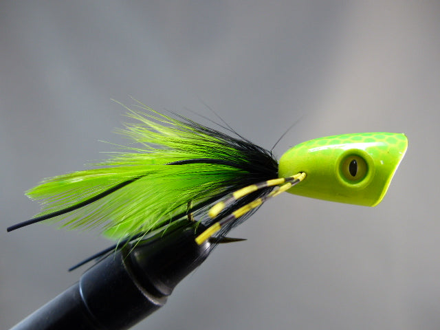 SURFACE SEDUCER CHARTREUSE#2