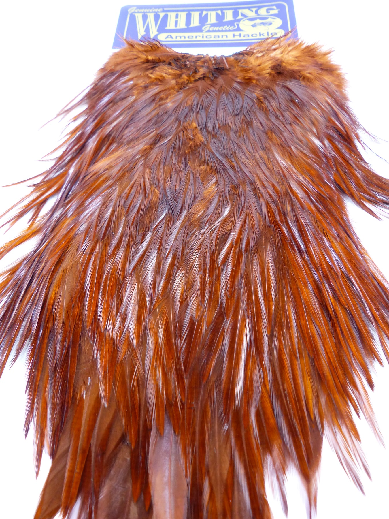 Whiting Farms Rooster Bronze Cape - Cape de Plumes de Coq pour Montage Whiting Farms Rooster Bronze Cape - Cape de Plumes de Coq pour Montage