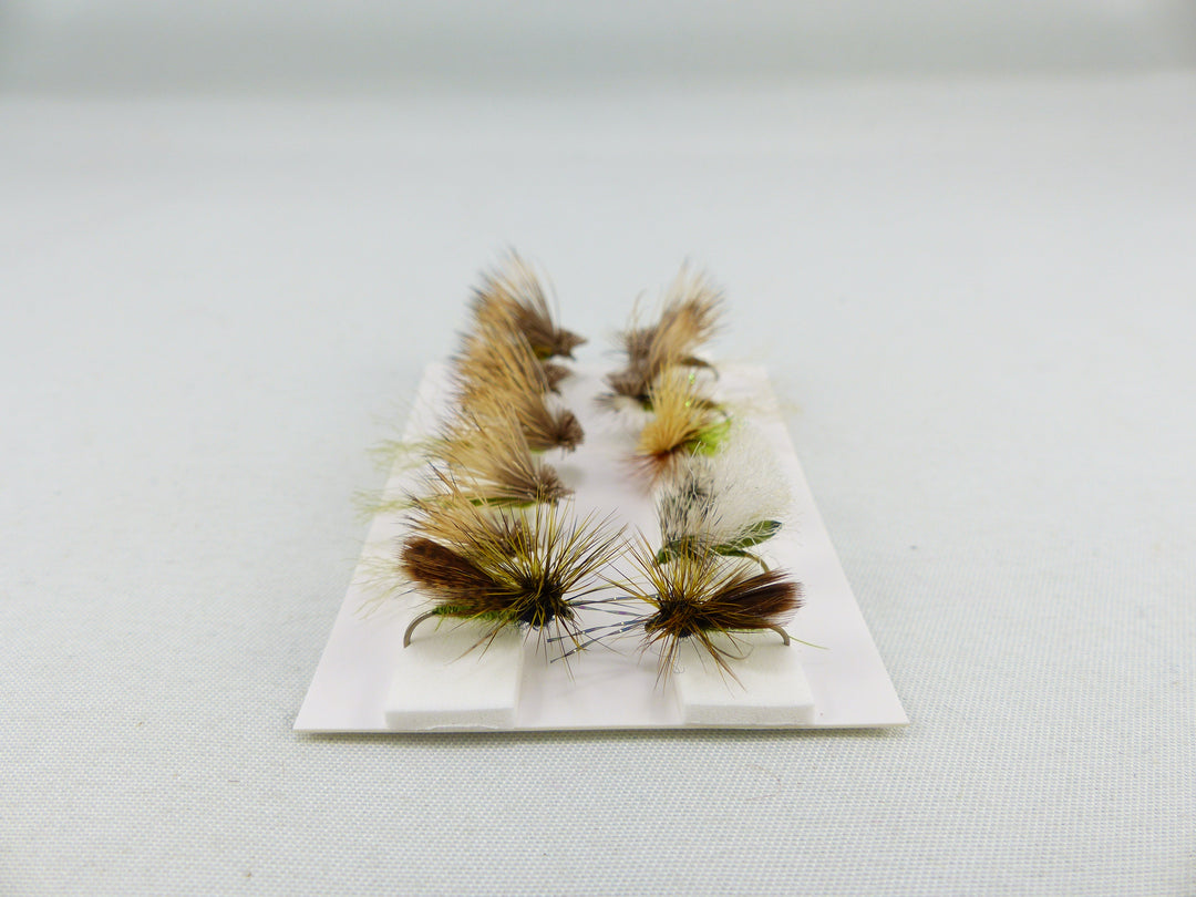 Mouches Du Houx | Larve De Caddis BH | Sélectionnés Parmi Les Meilleurs Mouches Du Houx | Larve De Caddis BH | Sélectionnés Parmi Les Meilleurs