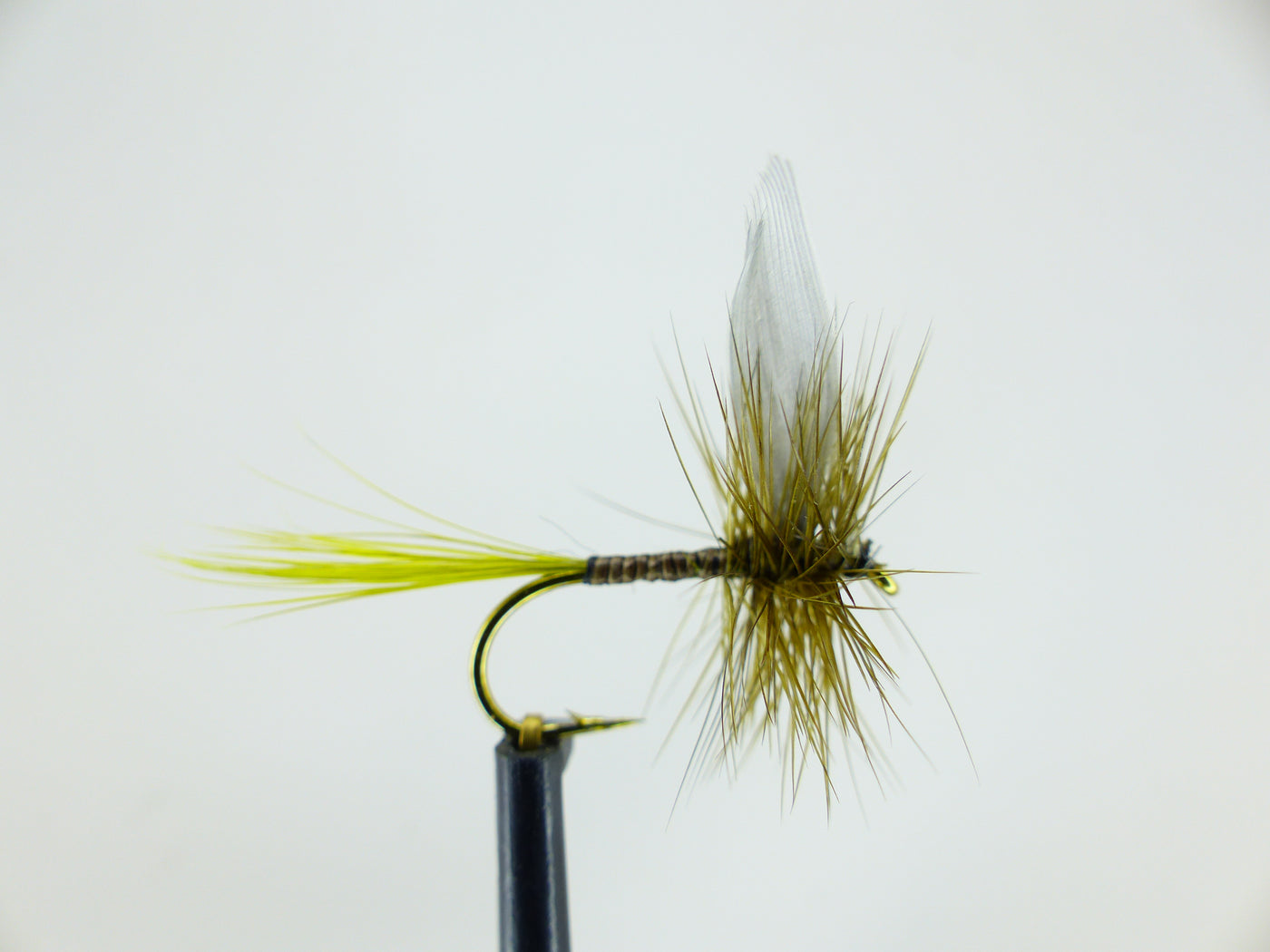 Light Olive Quill